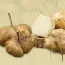 느림보농장 히카마 국산 얌빈 멕시코감자 5kg, 10kg 2025년산
